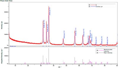 Green synthesis of zinc oxide nanoparticles from Wodyetia bifurcata fruit peel extract: multifaceted potential in wound healing, antimicrobial, antioxidant, and anticancer applications